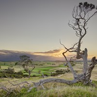 Cape Schanck - Mornington Peninsula