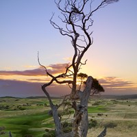 Cape Schanck - Mornington Peninsula