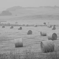 Flinders - Mornington Peninsula