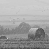 Flinders - Mornington Peninsula