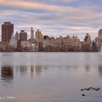 Central Park - NYC